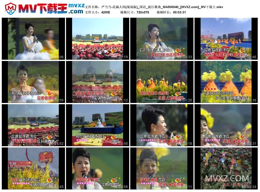 严当当-花满人间(现场版)_国语_流行歌曲_MA500040